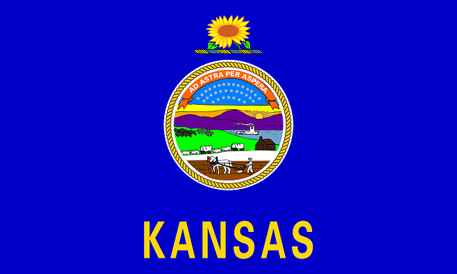 Kansas Eyalet bayrağı