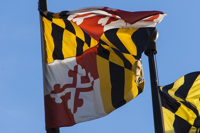 Maryland-Flagge