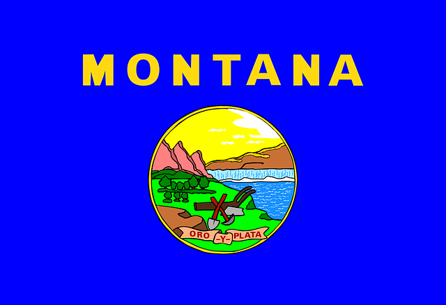 Montana eyalet bayrağı