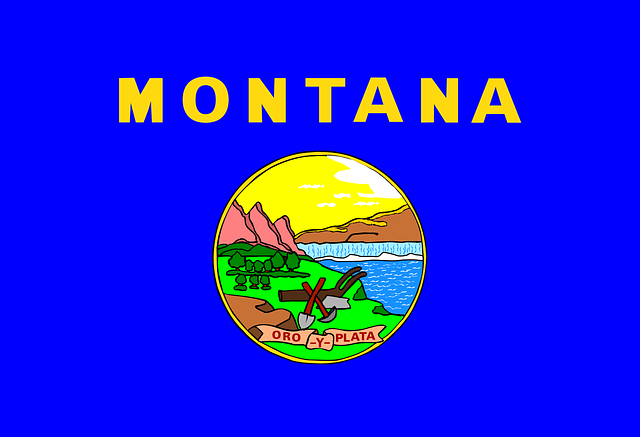 Montana delstatsflagg