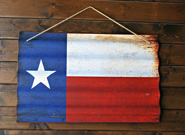 テキサスの旗